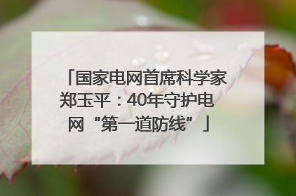 国家电网首席科学家郑玉平：40年守护电网“第一道防线”