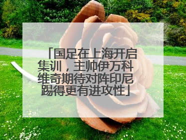 国足在上海开启集训，主帅伊万科维奇期待对阵印尼踢得更有进攻性