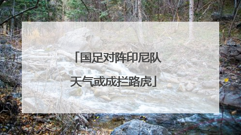 国足对阵印尼队 天气或成拦路虎
