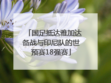 国足抵达雅加达备战与印尼队的世预赛18强赛
