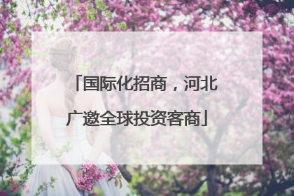 国际化招商，河北广邀全球投资客商