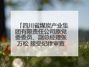 四川省煤炭产业集团有限责任公司原党委委员、副总经理张万松 接受纪律审查和监察调查