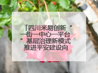 四川米易创新“一街一中心一平台”基层治理新模式 推进平安建设向更高水平迈进