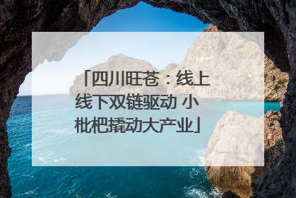 四川旺苍：线上线下双链驱动 小枇杷撬动大产业
