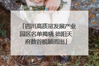 四川高质量发展产业园区名单揭晓 德阳天府数谷脱颖而出
