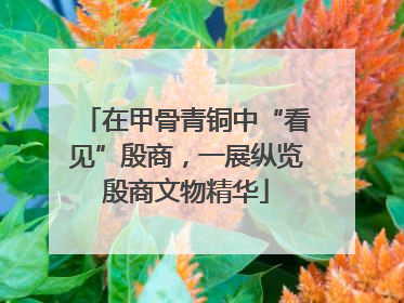 在甲骨青铜中“看见”殷商，一展纵览殷商文物精华