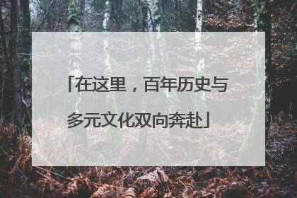 在这里，百年历史与多元文化双向奔赴