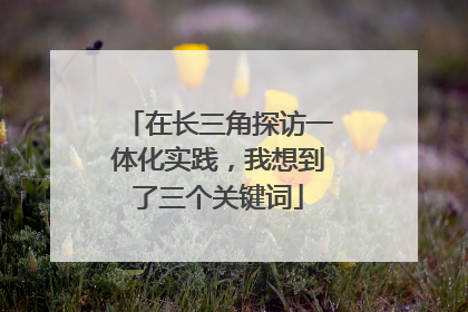 在长三角探访一体化实践，我想到了三个关键词