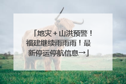 地灾＋山洪预警！福建继续雨雨雨！最新停运停航信息→