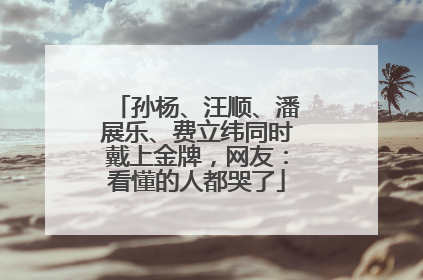 孙杨、汪顺、潘展乐、费立纬同时戴上金牌，网友：看懂的人都哭了