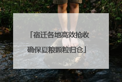宿迁各地高效抢收 确保夏粮颗粒归仓