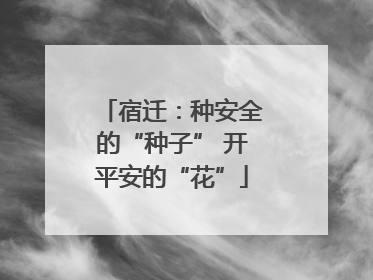 宿迁：种安全的“种子” 开平安的“花”