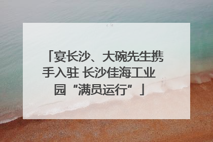 宴长沙、大碗先生携手入驻 长沙佳海工业园“满员运行”