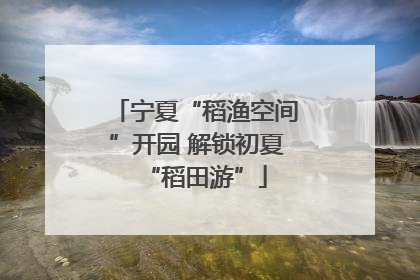 宁夏“稻渔空间”开园 解锁初夏“稻田游”