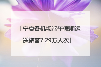 宁夏各机场端午假期运送旅客7.29万人次