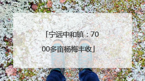 宁远中和镇：7000多亩杨梅丰收