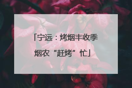 宁远：烤烟丰收季 烟农“赶烤”忙