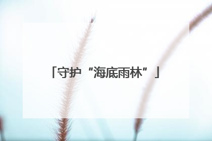 守护“海底雨林”