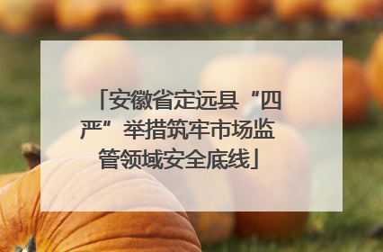 安徽省定远县“四严”举措筑牢市场监管领域安全底线