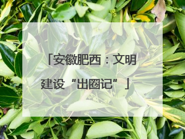 安徽肥西：文明建设“出圈记”