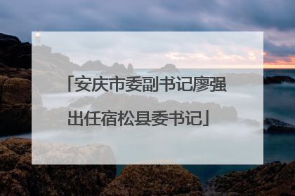 安庆市委副书记廖强出任宿松县委书记