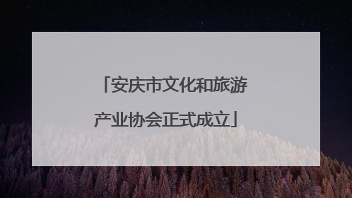 安庆市文化和旅游产业协会正式成立