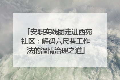 安职实践团走进西苑社区：解码六尺巷工作法的温情治理之道