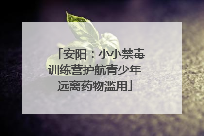 安阳：小小禁毒训练营护航青少年远离药物滥用