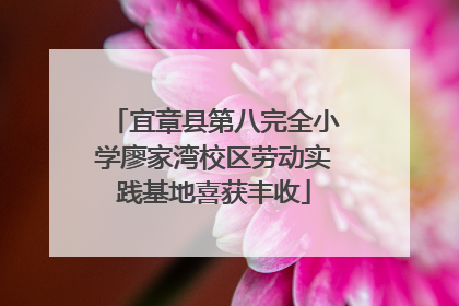 宜章县第八完全小学廖家湾校区劳动实践基地喜获丰收
