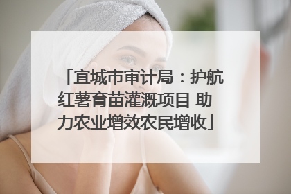 宜城市审计局：护航红薯育苗灌溉项目 助力农业增效农民增收