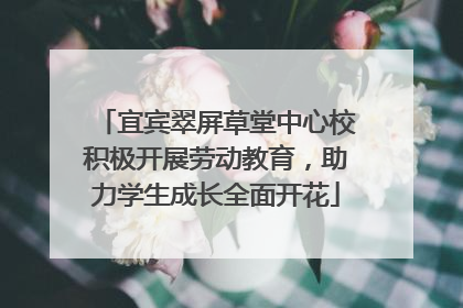 宜宾翠屏草堂中心校积极开展劳动教育，助力学生成长全面开花