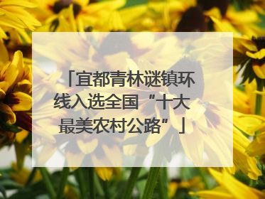宜都青林谜镇环线入选全国“十大最美农村公路”