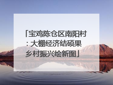 宝鸡陈仓区南阳村：大棚经济结硕果 乡村振兴绘新图