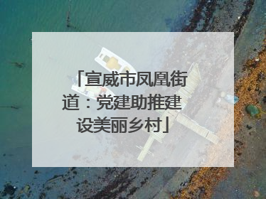 宣威市凤凰街道：党建助推建设美丽乡村