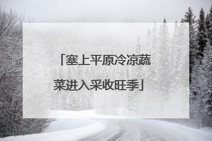 塞上平原冷凉蔬菜进入采收旺季