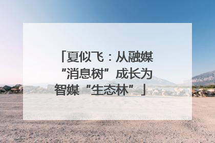 夏似飞：从融媒“消息树”成长为智媒“生态林”