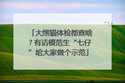 大熊猫体检都查啥？有请模范生“七仔”给大家做个示范