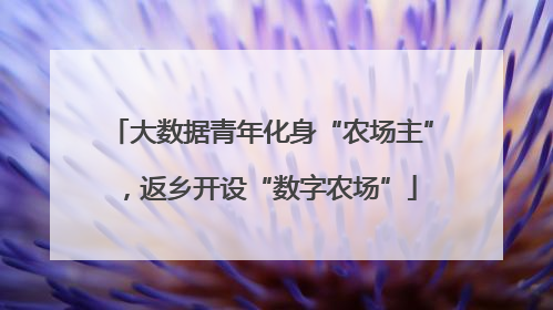 大数据青年化身“农场主”，返乡开设“数字农场”