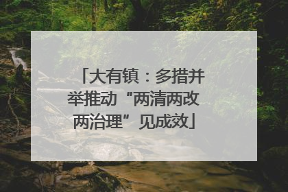 大有镇：多措并举推动“两清两改两治理”见成效