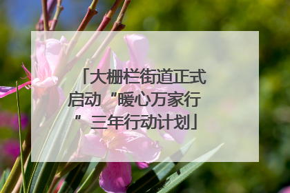 大栅栏街道正式启动“暖心万家行”三年行动计划