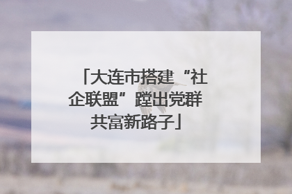 大连市搭建“社企联盟”蹚出党群共富新路子