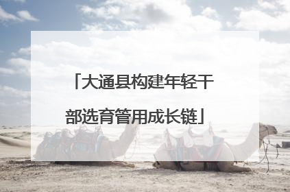 大通县构建年轻干部选育管用成长链