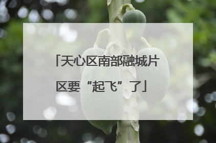 天心区南部融城片区要“起飞”了