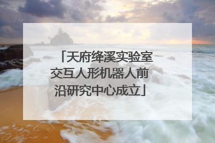 天府绛溪实验室交互人形机器人前沿研究中心成立