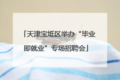 天津宝坻区举办“毕业即就业”专场招聘会