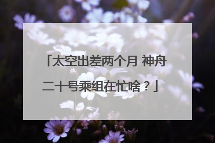 太空出差两个月 神舟二十号乘组在忙啥？