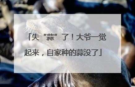 失“蒜”了！大爷一觉起来，自家种的蒜没了