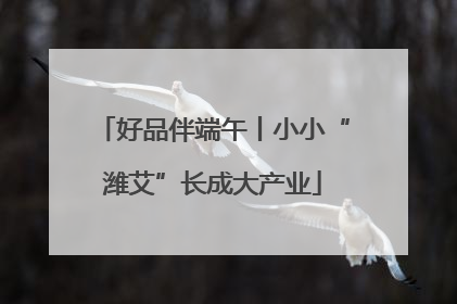 好品伴端午丨小小“潍艾”长成大产业