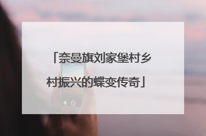 奈曼旗刘家堡村乡村振兴的蝶变传奇