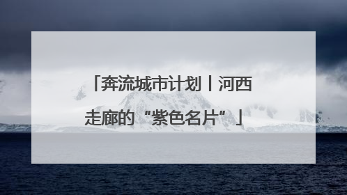 奔流城市计划丨河西走廊的“紫色名片”